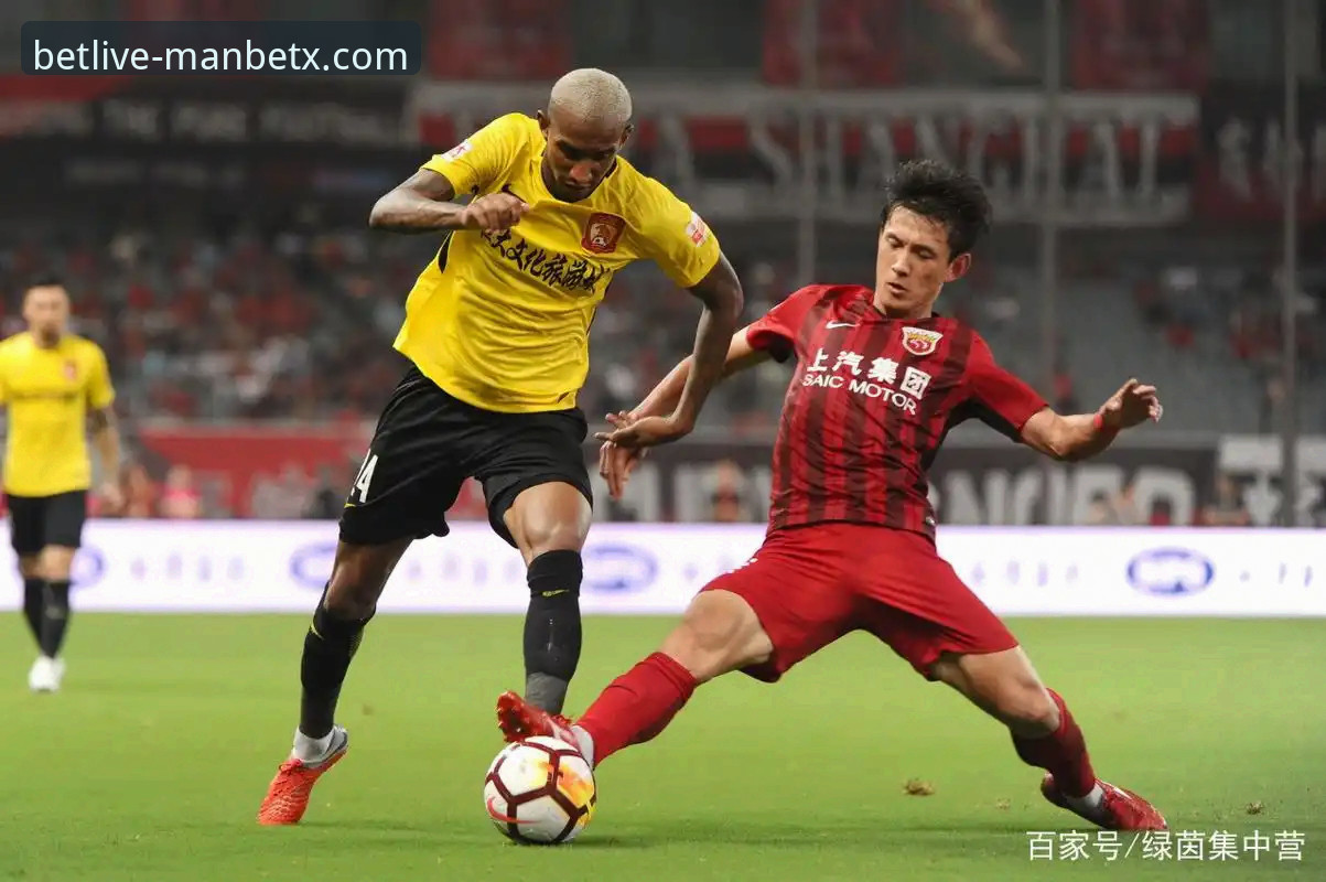 从绿茵辉煌到法庭审判：剖析恒大足球兴衰的实用视角